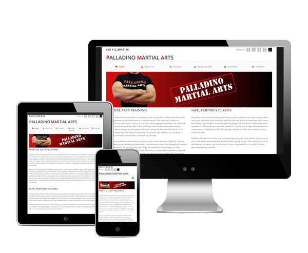 Palladino Martial Arts 3 Device Web Design Screenshot